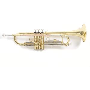 Roy Benson Rb701070 Tromba in Sib Tr-202, Finitura Laccata, Astuccio Rettangolare