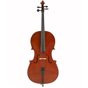 VOX MEISTER VM CEB44 Violoncello 4/4 serie Basic