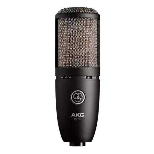 Prodotto: P220 - AKG P220 MICROFONO A CONDENSATORE A DIAFRAMMA LARGO PER  VOCE E STRUMENTI - Akg (Microfoni e Sistemi Wireless - Microfoni da Studio);